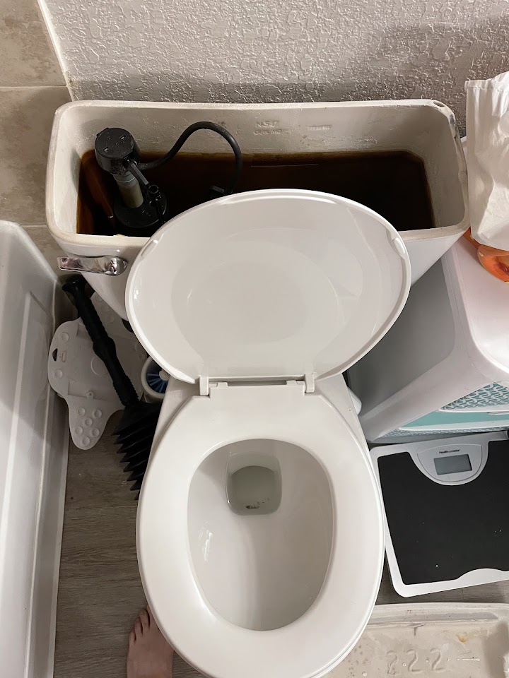 Royal Plumbing & Rooter Services project